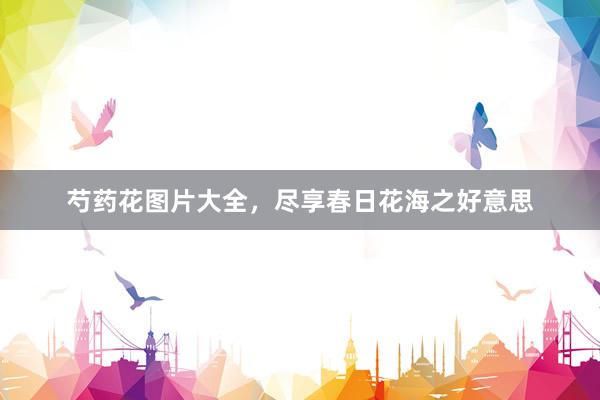 芍药花图片大全，尽享春日花海之好意思